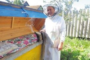 «Це ж Бог зцілює за допомогою бджіл»