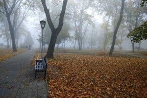 Погода на суботу, 7 листопада: без опадiв, вночi та вранцi мiсцями туман