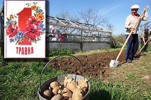 СОЛІДАРНІСТЬ — ЦЕ СЕРЙОЗНО