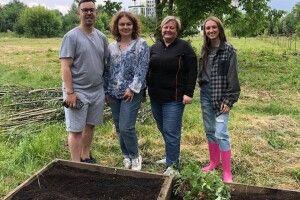 Як у Луцьку на міському городі другий рік вирощують органічну городину