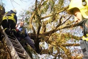 Обрізав гілки і травмувався: волинянина з дерева знімали рятувальники