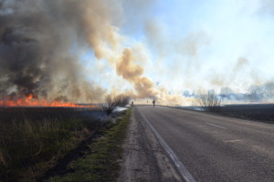 Червоний півень атакував Новий Двір (двір)