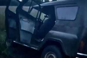 На Волині браконьєри вбили козулю (Фото 18+)
