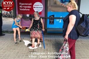 Водій маршрутки протягнув пенсіонерку по асфальту, затиснувши її дверима (Фото, відео)