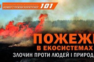До спеки ще далеко, а на Волині уже тричі горіли торфовища