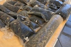 Авто, «заправлене» бурштином