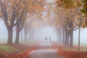 Завтра Волинь «потоне» в тумані