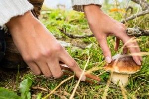 Скоро за повітря заставлять платити! 