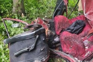 Поблизу Луцька легковик злетів у кювет, водій загинув 