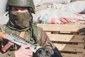 У «Євросолідарності» пропонують дозволити зберігання зброї бійцям тероборони за місцем проживання