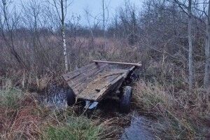 Кінь з возом, гроші та пожежа: на Рівненщині накоїла шкоди 24-річна жінка (Фото)