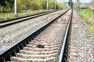 Під поїздом, який їхав через Волинь, загинув 16-річний юнак