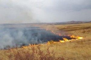 На Любешівщині горіло торфовище
