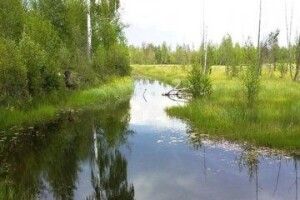На Рівненщині створять заповідник площею 24 тисячі гектарів