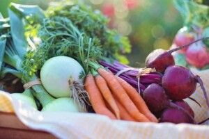 В Україні продовжують дорожчати «запчастини» до борщу