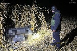 У селі поблизу Луцька виявили небезпечний предмет