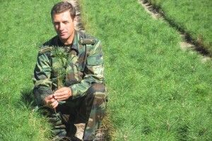 Ратнівщина: є насіння, буде і ліс