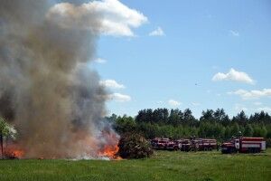 На Камінь-Каширщині учора локалізували 5 пожеж у лісі