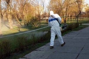 У місті на Волині оголосили дводенний «карантин» для зелених зон