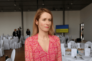 Прем’єрка Естонії пропонує спільні закупівлі зброї для України