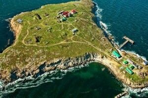 ЗСУ під драйвову пісню знищили гелікоптер росіян разом з десантом на острові Зміїний (Відео)