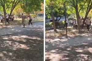 Інцидент із перцевим газом біля школи в Дніпрі: що відомо про конфлікт із ТЦК (Відео)