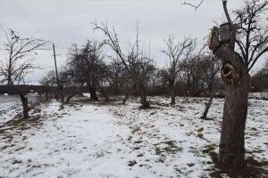 В Україні підліток на смерть замерз біля власного будинку 