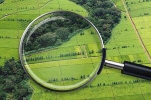 На Волині у власність держави повернули 670 гектарів лісу