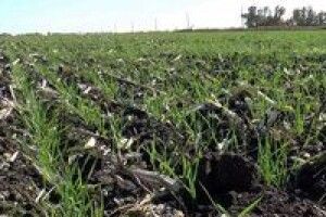 Держпідтримку АПК буде переглянуто в бік збільшення програм із викупу земель