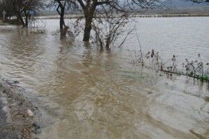 Підтоплення: волинські рятувальники відкачують воду з присадибних ділянок 