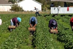 У Польщі хочуть вакцинувати робітників з України