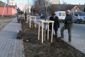 У Ковелі буде алея сакур