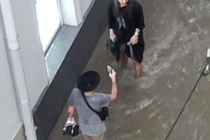 Над Львовом пройшла буря, електротранспорт не працює