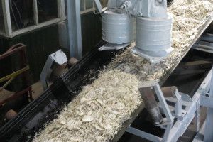 «Задимів» Гнідавський цукровий завод