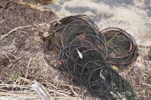 За два тижні інспектори вилучили на Шацьких озерах 42 сітки