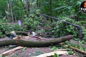 Загинули на побаченні: з'явилися моторошні деталі смерті молодої пари у парку Львова (Фото, відео 18+)