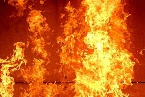 У домі луцької зоозахисниці сталась пожежа: загинули тварини