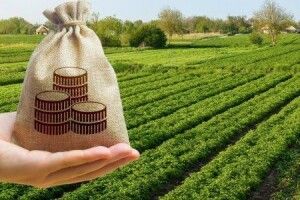Волинянин не заплатив за землю майже 400 тисяч гривень: втрутилась прокуратура