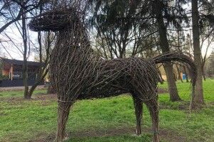 Лучанка перетворює обрізане гілля в екомистецтво (Фото)