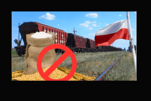 «Від зерна до медової продукції»: Польща заборонила імпорт сільськогосподарської продукції з України