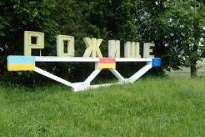 У Рожищі покрали... кущі