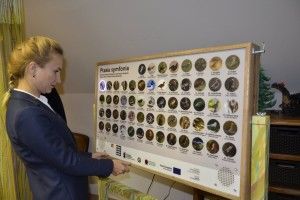 Представники Шацького національного парку набиралися досвіду у польських колег