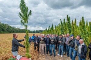 Українські науковці вивели новий сорт конопель, з яких можуть вийти бронежилети для військових
