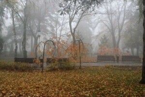Погода на суботу, 14 листопада: вночі та вранці на Волині туманитиметься