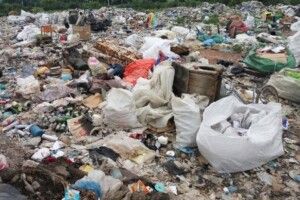 Луцькі депутати виділили 50 тисяч гривень на сміттєзвалище 