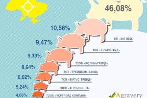 Дві волинські фірми потрапили у Топ-7 імпортерів свинини
