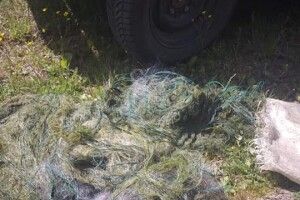 Рибоохоронний патруль вилучив півтисячі метрів сіток поблизу села Піща Шацького району