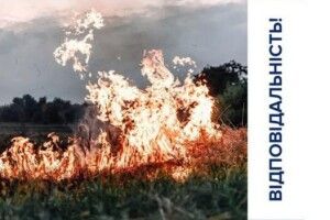 Можуть оштрафувати: волинян просять не палити сухе листя та траву