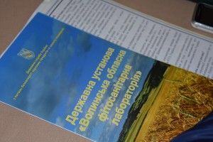 Аграрії Волині обговорили, як не нашкодити бджолам