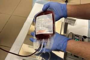 У Львові розпочав роботу перший Банк крові для котів 